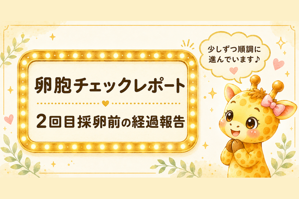 卵胞チェックレポート｜2回目採卵前の経過報告