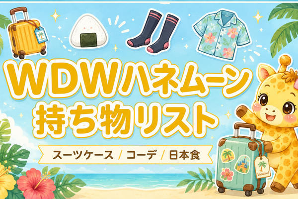 WDWハネムーンの持ち物リスト｜実際に持っていったものを全公開【フロリダ1週間】