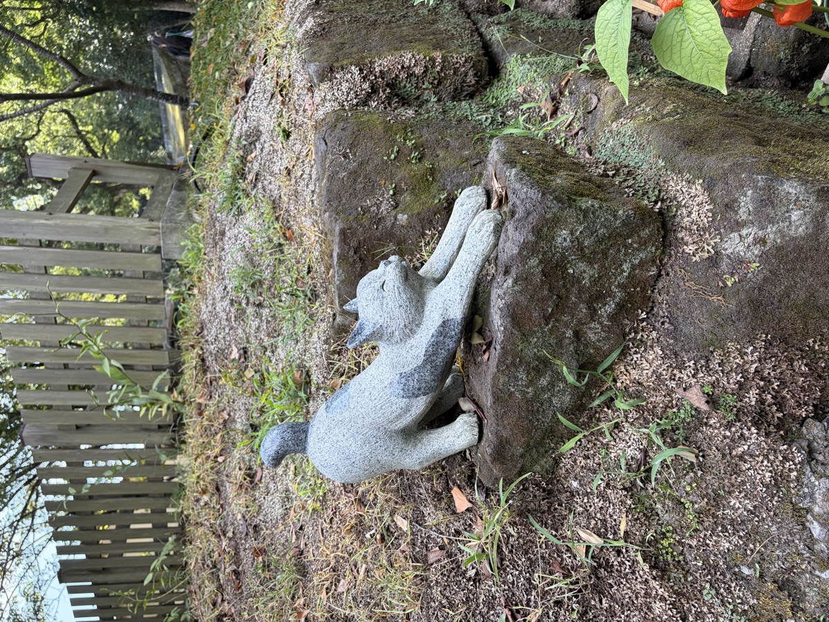 猫神神社の伸びをしている猫の石像